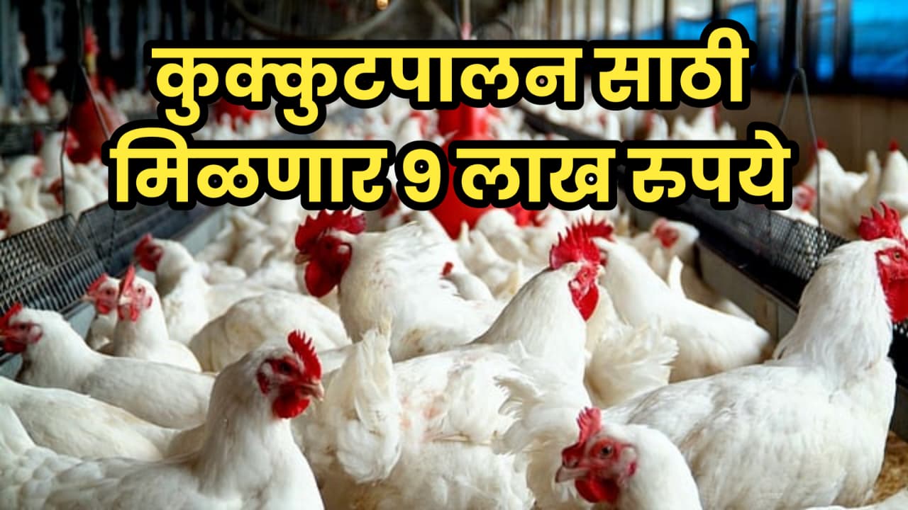 Poultry Farming